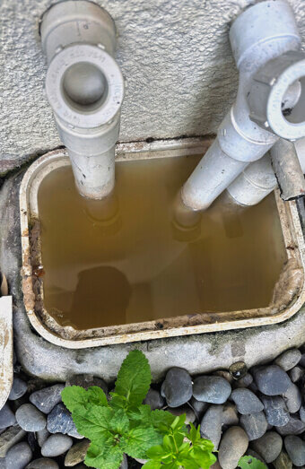 https://plumbermosmanpark.com.au/uploads/2025/06/blocked-drains-912576.jpg